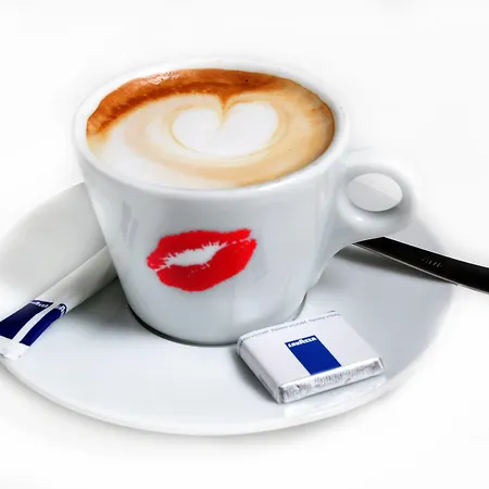 Boutique Herbergh Amsterdam Airport Free Parking מלון